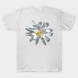white flower T-Shirt